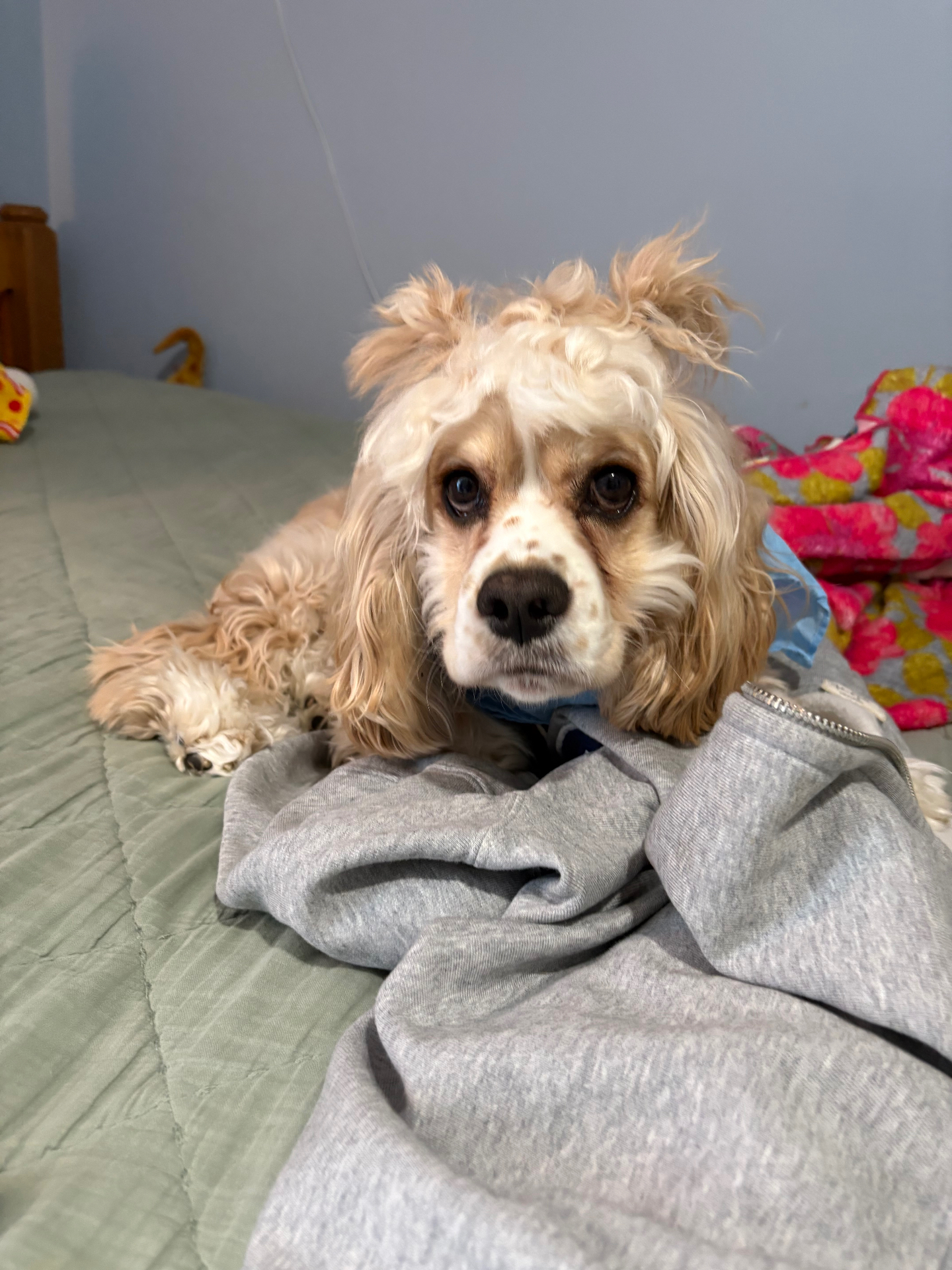 Lady Reverie portrait